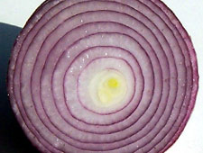 Zwiebel